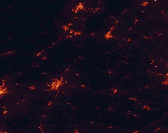 Satellite night-light map of the 100 km around James River State Park, with Lynchburg, West Lynchburg and Charlottesville marked