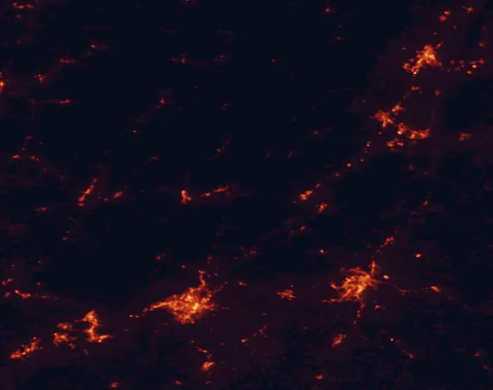Satellite night-light map of the 100 km around Longdale Recreation Area, with Roanoke, Lynchburg and West Lynchburg marked