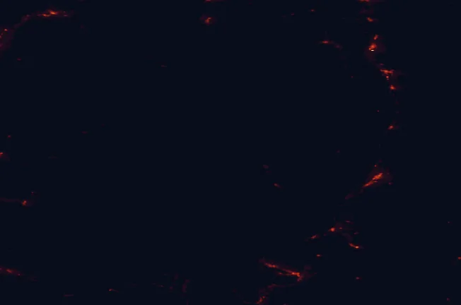 Satellite night-light map around Okanogan-Wenatchee National Forest
