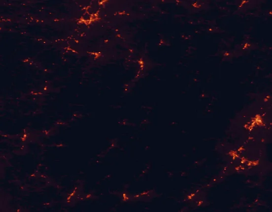 Satellite night-light map of the 100 km around Monongahela National Forest, with Harrisonburg, Staunton and Waynesboro marked