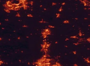 Satellite night-light map of the 50 km around Janesville, with Madison, Rockford and Beloit marked