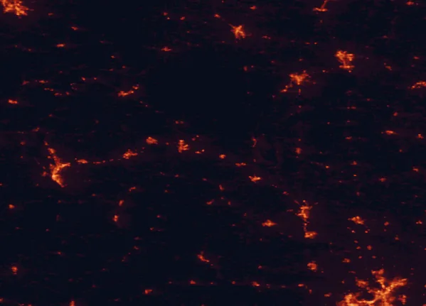 Satellite night-light map of the 100 km around Mill Bluff State Park, with La Crosse, North La Crosse and Tomah marked